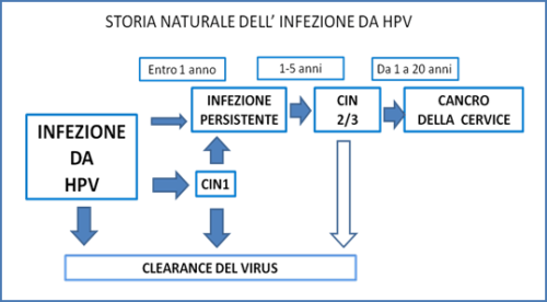 Papilloma Virus Biomolecular Diagnostic